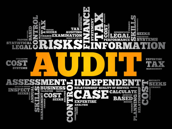 AUDIT word cloud collage