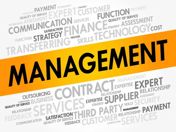 Management word cloud collage — Stock Vector