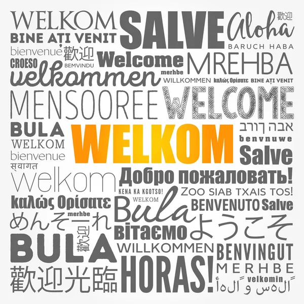 Welkom (Welcome in Afrikaans) word cloud — Stock Vector