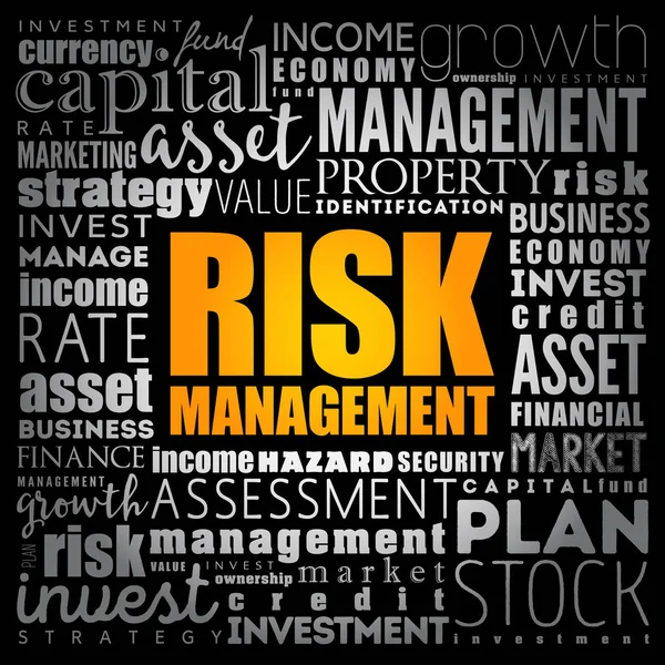 Risk yönetimi kelime bulutu kolaj — Stok Vektör