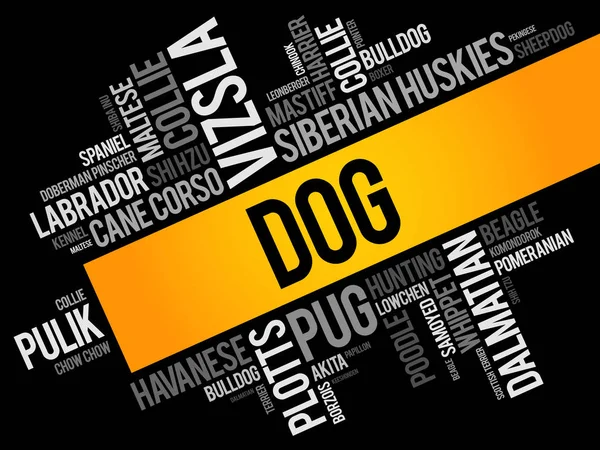 List of most popular dog breeds word cloud — Stock Vector