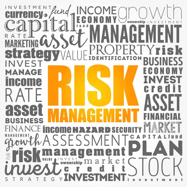 Risk Management word cloud collage — Stock Vector