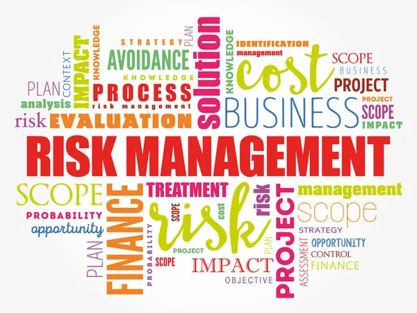 Risk Management word cloud collage — Stock Vector