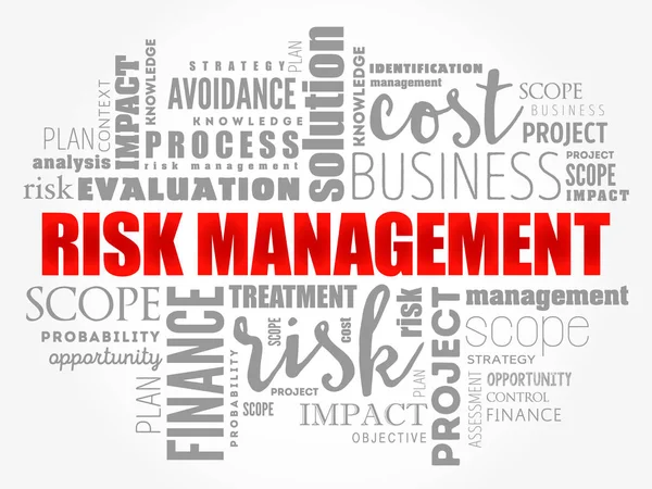 Risk Management word cloud collage — Stock Vector