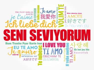 Seni seviyorum (I Love You in Turkish)
