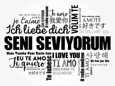 Seni seviyorum (I Love You in Turkish)