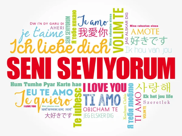 Seni seviyorum (Te amo en turco ) — Archivo Imágenes Vectoriales