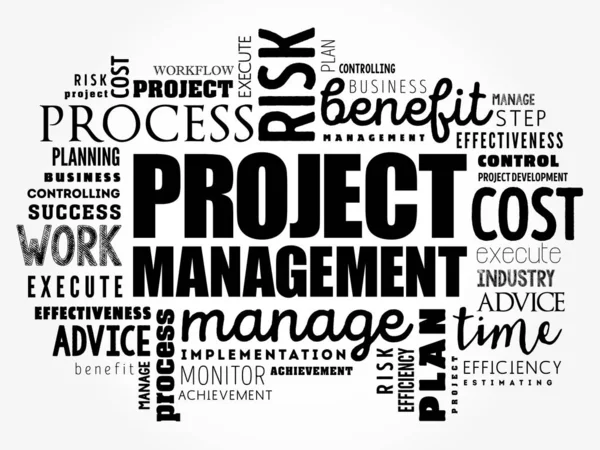 Project Management word cloud collage — Stock Vector