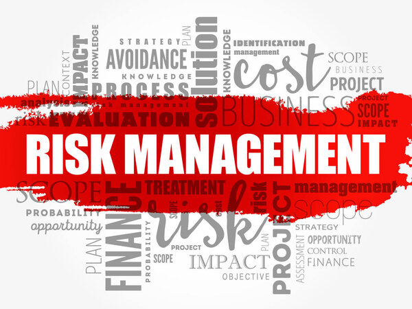 Risk Management word cloud collage