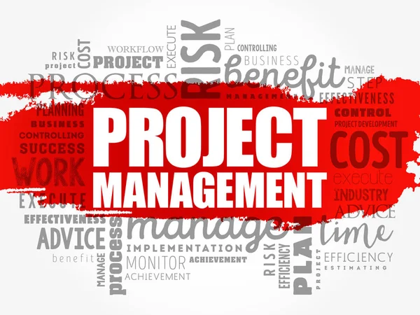 Project Management mot nuage collage — Image vectorielle