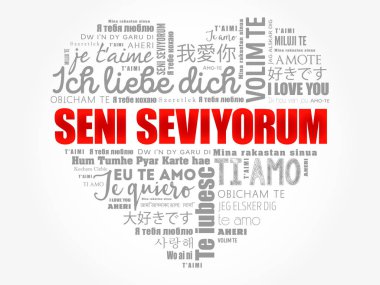 Seni seviyorum (I Love You in Turkish)