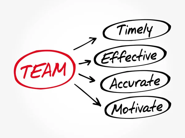 团队-及时、 有效、 准确、 激励 — 图库矢量图片
