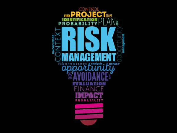 Risk Management light bulb word cloud — Stock Vector