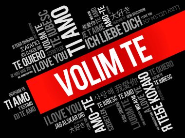 Volim te, I Love You Hırvatça