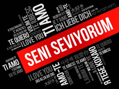 Seni seviyorum (I Love You in Turkish)