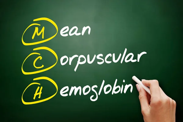 MCH-mean corpusculaire hemoglobine — Stockfoto