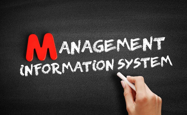 Management Information System text