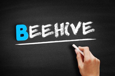 Tahta üzerinde arı kovanı metni