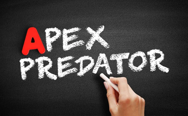 Apex Predator-text på Blackboard — Stockfoto