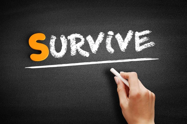 Survive text on blackboard — Stock Photo, Image