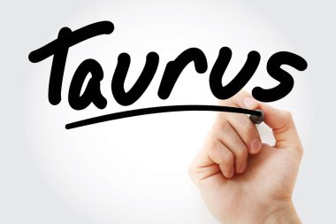 El Toros marker ile yazma