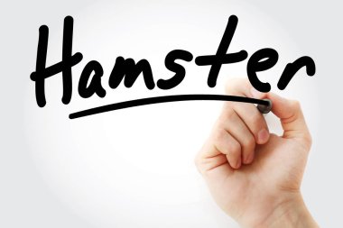 Hamster marker ile yazma el