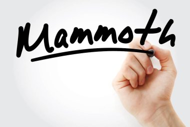 Mamut marker ile yazma el