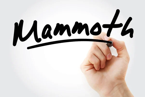 Hand skriva Mammoth med markör — Stockfoto
