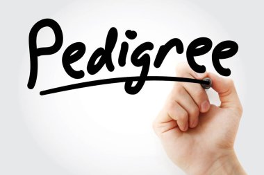 Safkan marker ile yazma el