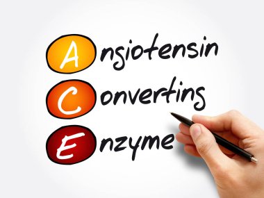ACE - Angiotensin Dönüştürme Enzimi kısaltması, kavram geçmişi
