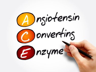 ACE - Angiotensin Converting Enzyme acronym, concept background clipart