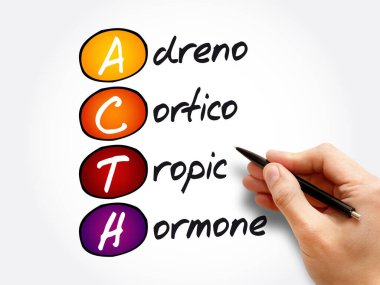 ACTH - Adrenokortikotropik hormon kısaltması, kavram arka planı