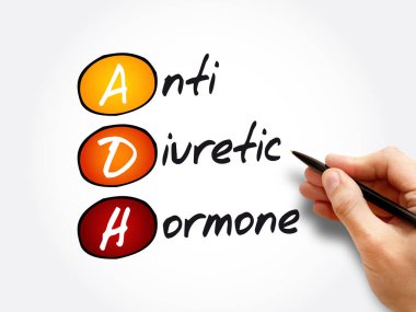 ADH - Antidiüretik hormon kısaltması, kavram arka planı