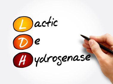 LDH - lactic dehydrogenase acronym, concept background clipart