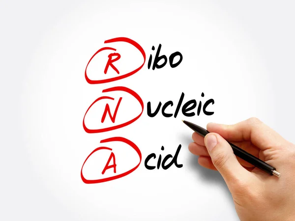 RNA - Ribonucleic acid, acronym concept background