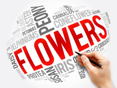 Çiçekler kelime bulut kolajı, konsept arka plan