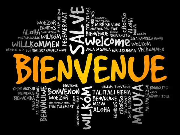 ビエンベニュー フランス語でようこそ 異なる言語でのワードクラウド 概念的な背景 — ストックベクタ