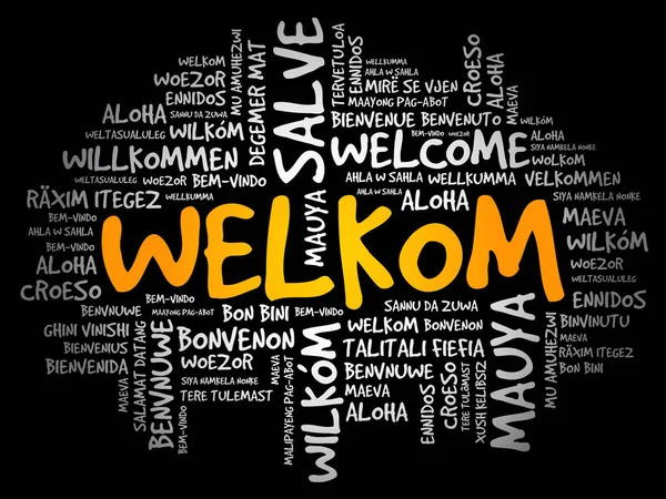 Welkom 欢迎使用南非荷兰语 不同语言的词云 概念背景 — 图库矢量图片