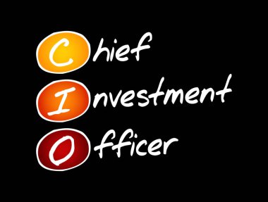 CIO - Yatırım Sorumlusu Kısaltma, iş konsepti geçmişi