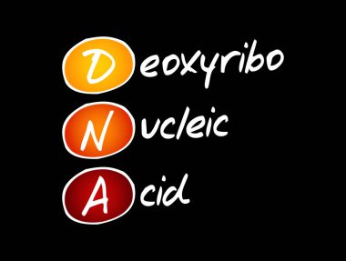 DNA - Deoksiribonükleik asit kısaltması, tıbbi konsept geçmişi