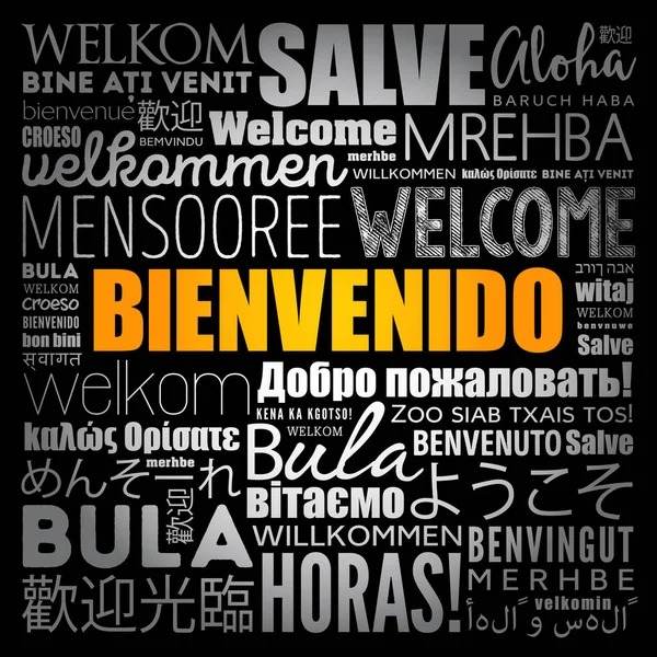 Bienvenido Selamat Datang Spanyol Kata Awan Dalam Bahasa Yang Berbeda - Stok Vektor