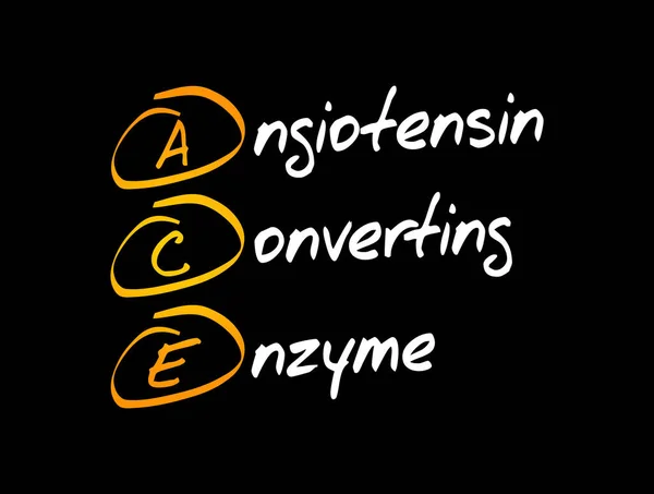 Ace Angiotensina Conversión Acrónimo Enzima Fondo Conceptual — Vector de stock