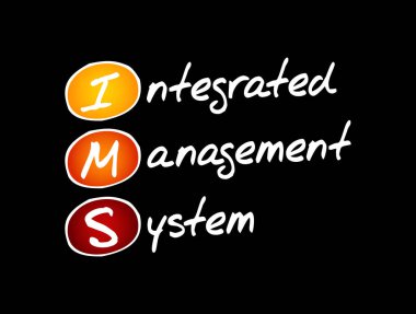 IMS - Entegre Yönetim Sistemi kısaltması, iş kavramı geçmişi
