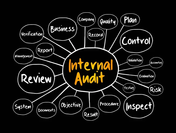 Mapa Mental Auditoria Interna Conceito Negócio Para Apresentações Relatórios —  Vetores de Stock
