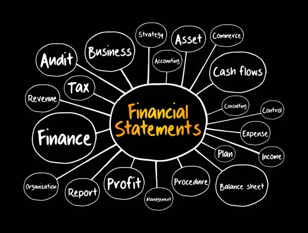 Demonstrações Financeiras Mapa Mental Fluxograma Conceito Negócio Para Apresentações Relatórios — Vetor de Stock