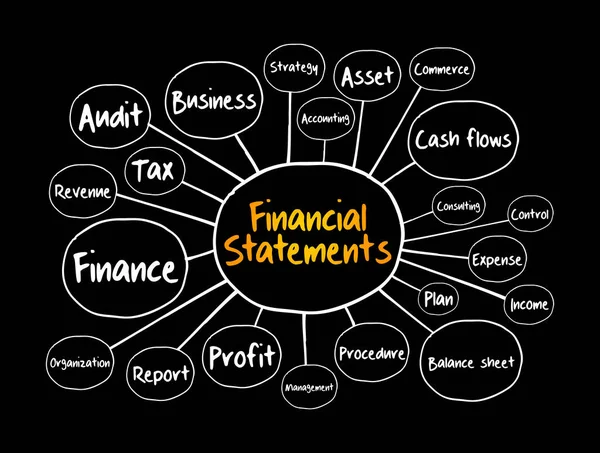 Organigramme Des États Financiers Concept Opérationnel Pour Les Présentations Les — Image vectorielle