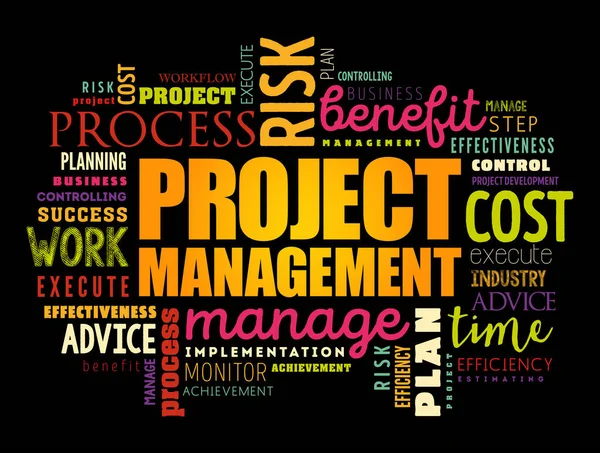 Project Management Mot Cloud Collage Arrière Plan Concept Entreprise — Image vectorielle