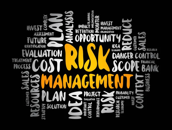 Risk Management Word Cloud Collage Business Concept Background — Stock Vector