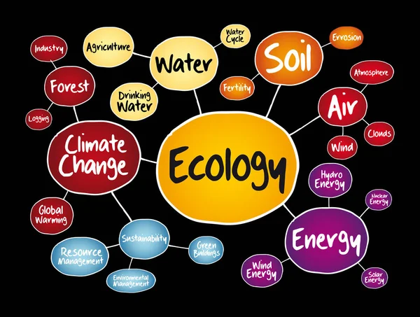 Ecology Mind Map Flussdiagramm Konzept Für Präsentationen Und Berichte — Stockvektor