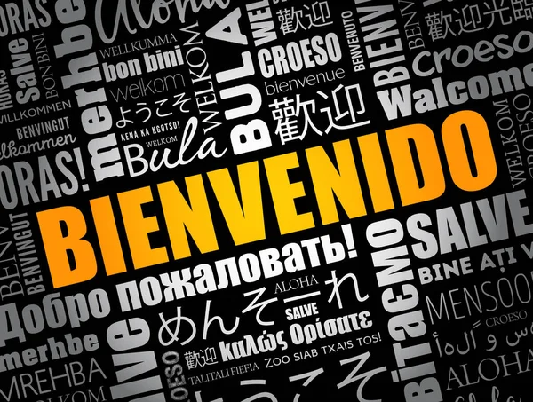 Bienvenido Welcome Spanish Word Cloud Different Languages Conceptual Background — Stock Vector